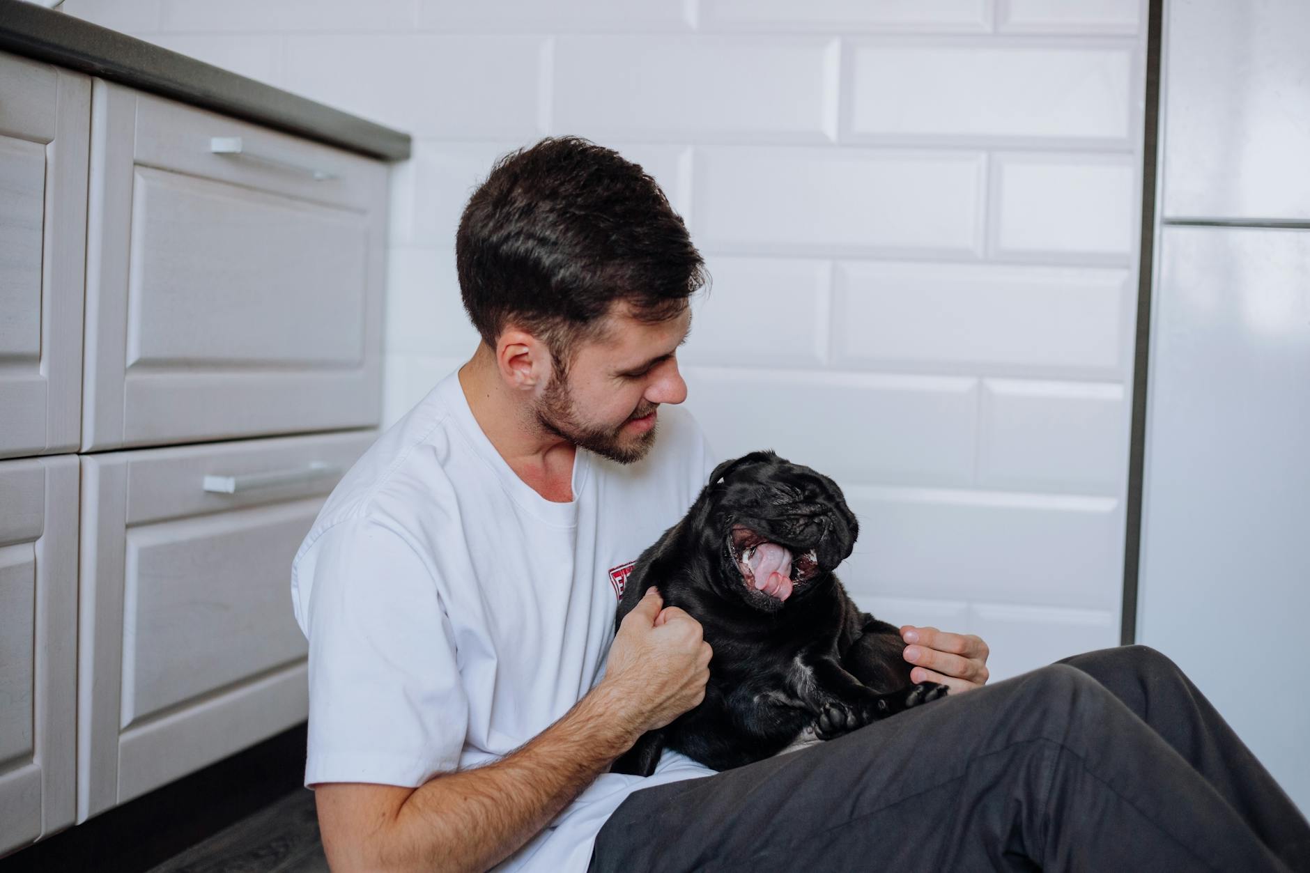 What Is Best Dog Care App and How Does It Work?